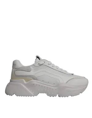 Dolce & Gabbana Daymaster Low Top Sneakers Men's Shoes (Pre-Owned)