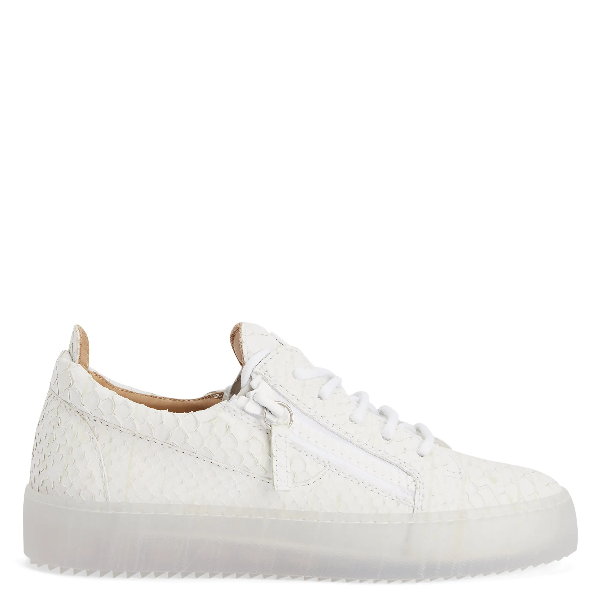 Giuseppe Zanotti Gail
