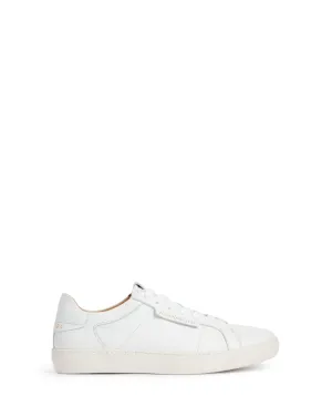 Sheer Sneaker