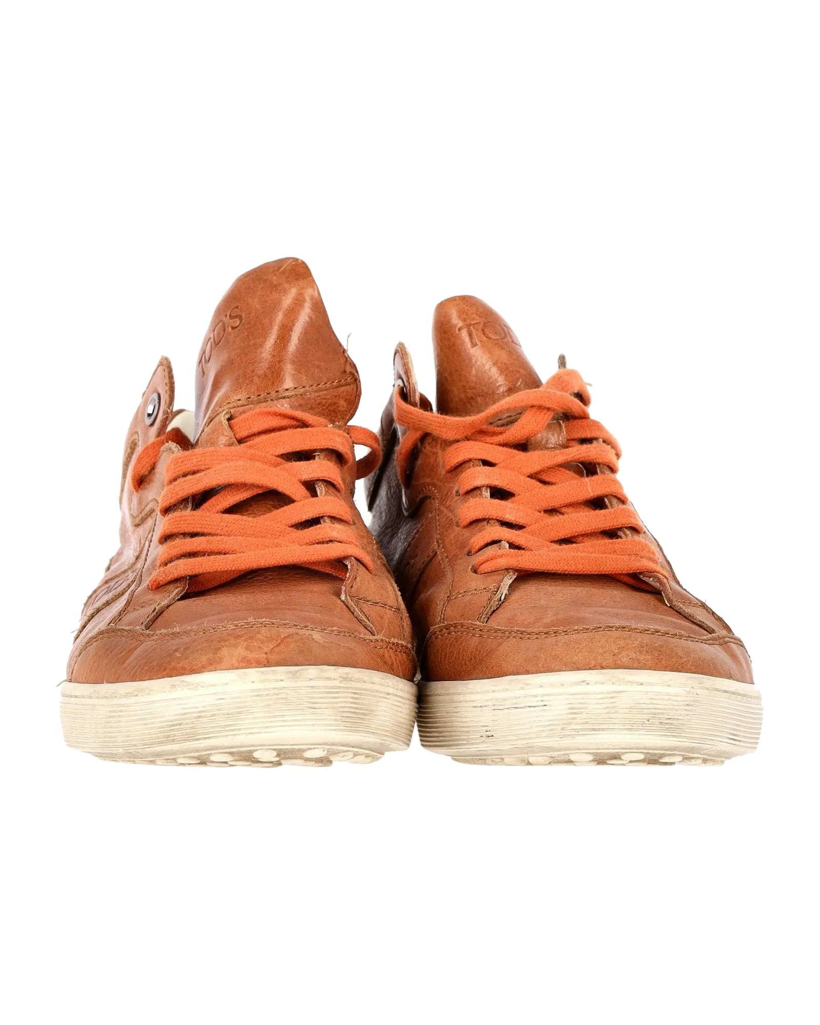 Tod's Low Top Sneakers in Brown Leather