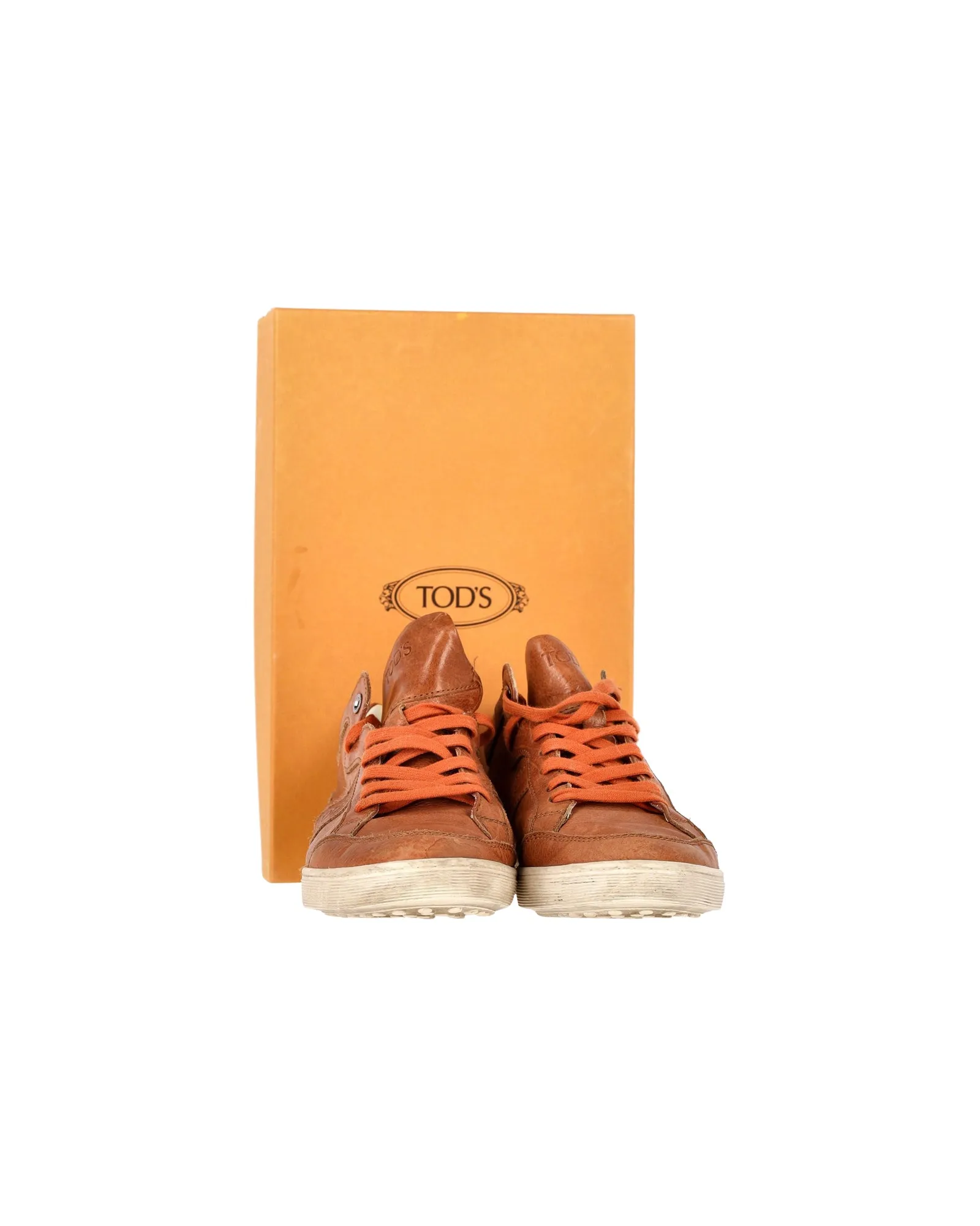 Tod's Low Top Sneakers in Brown Leather
