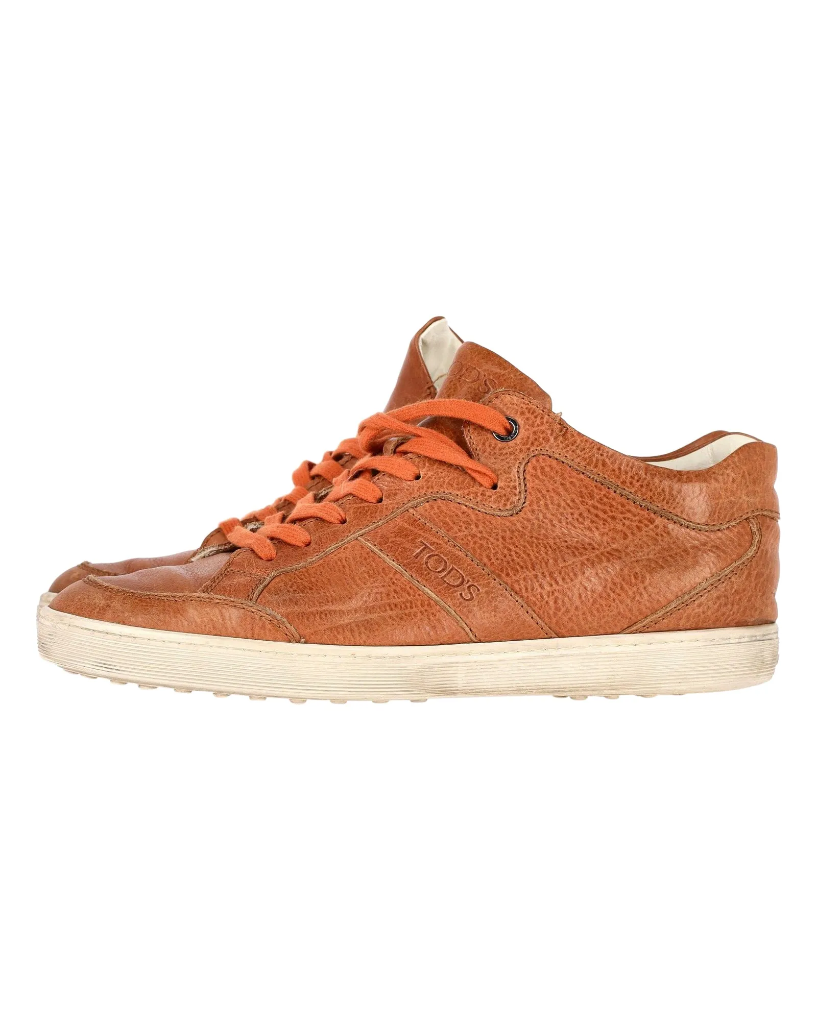 Tod's Low Top Sneakers in Brown Leather