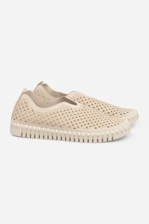 Women's Tulip Sneaker In Kit